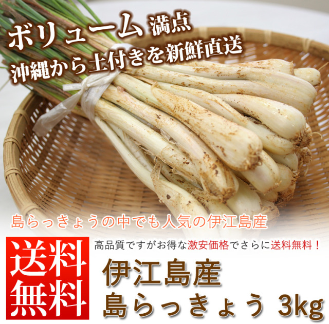 【送料無料】島らっきょう　土付き(約3kg)　【伊江島産】