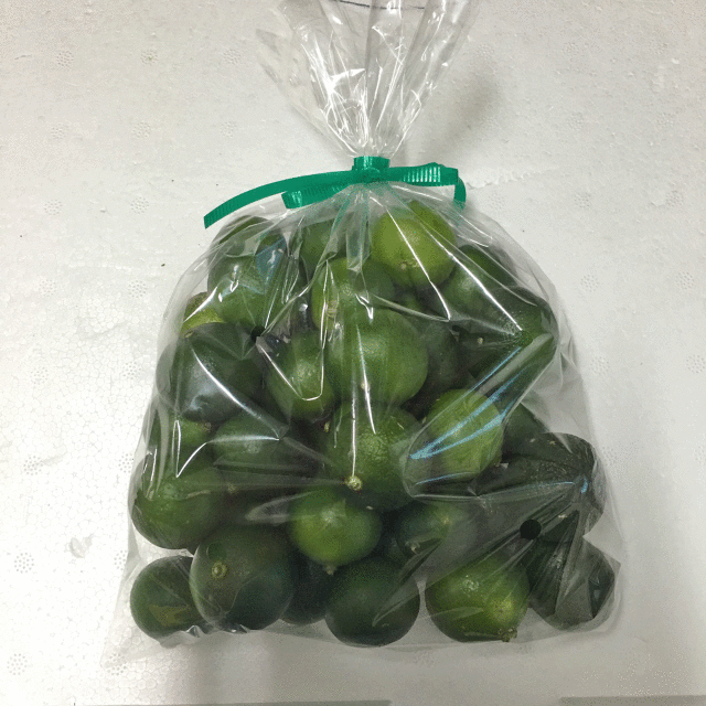 シークワーサー