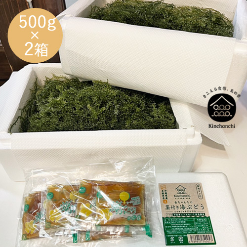茎付き海ぶどう小袋たれセット