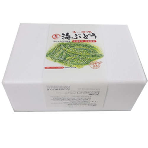 海ぶどう（500g） 海ぶどうの通販なら『kinchanchi』