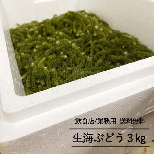 【飲食店・業務用専用】生海ぶどう3kg（タレ無し）送料無料　