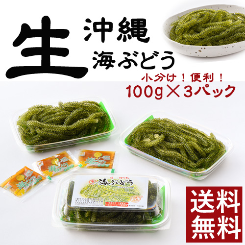 海ぶどう 100g 海ぶどうの通販なら 金ちゃんちの海ぶどう 海ぶどう 100g 海ぶどうの通販なら 金ちゃんちの海ぶどう