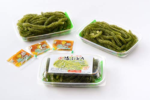 金ちゃんちの海ぶどう 海ぶどうと沖縄の産直専門店 沖縄みき屋
