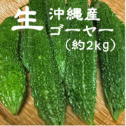 ゴーヤー2ｋｇ