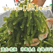 極み　商品画像