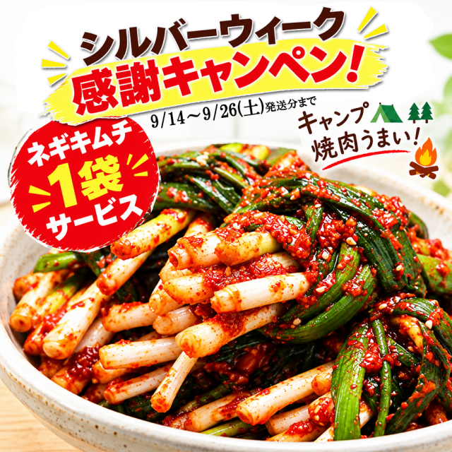 三口一品本格キムチ送料無料