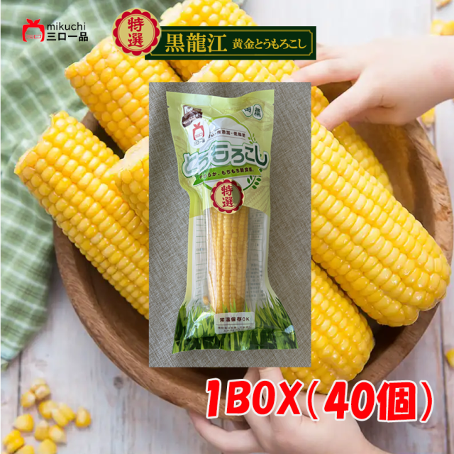 ＼新春特別キャンペン／【特選】黒龍江・黄金とうもろこし1BOX(40個)【五福菜525g1袋サービス】  採れたてのフレッシュなおいしさもちっと広がる、こだわり食感のとうもろこし