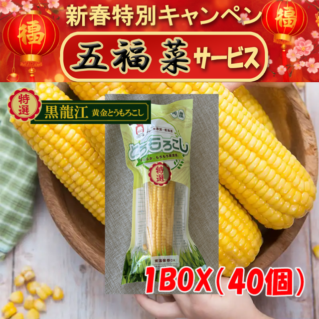 ＼新春特別キャンペン／【特選】黒龍江・黄金とうもろこし1BOX(40個)【五福菜525g1袋サービス】  採れたてのフレッシュなおいしさもちっと広がる、こだわり食感のとうもろこし