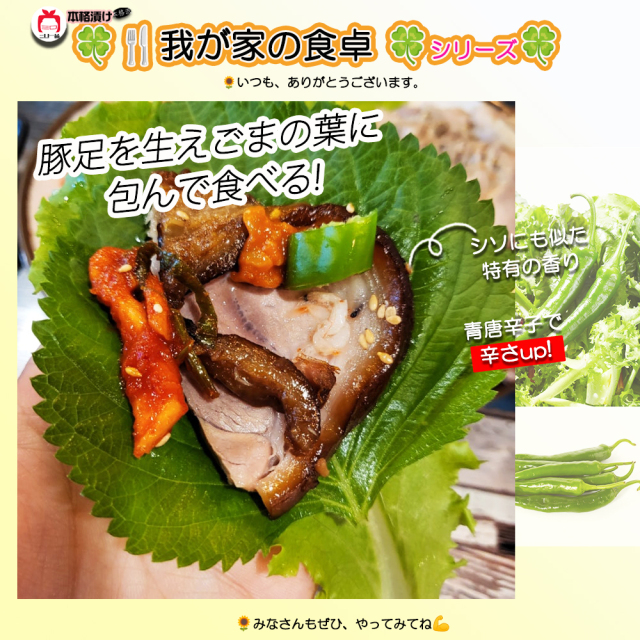 東大門【王豚足】スライス 味付 豚肉 加工食品