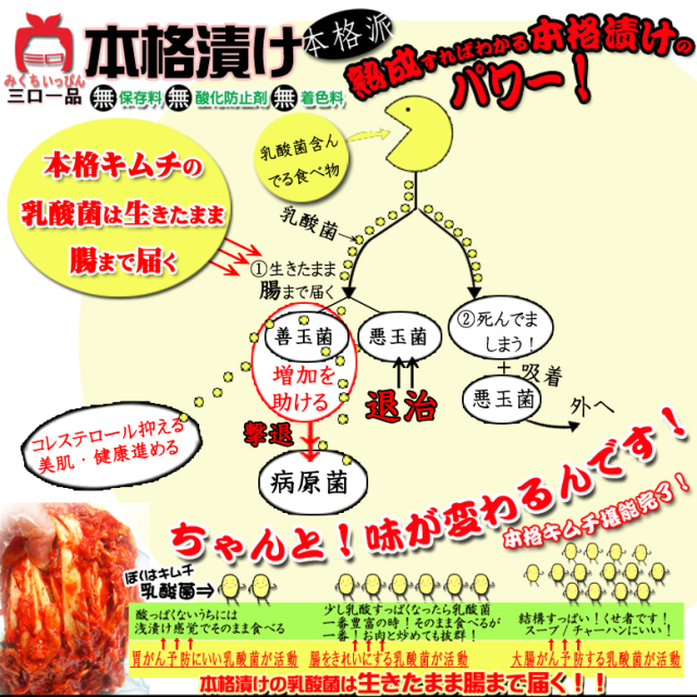 キムチ 韓国本場の味