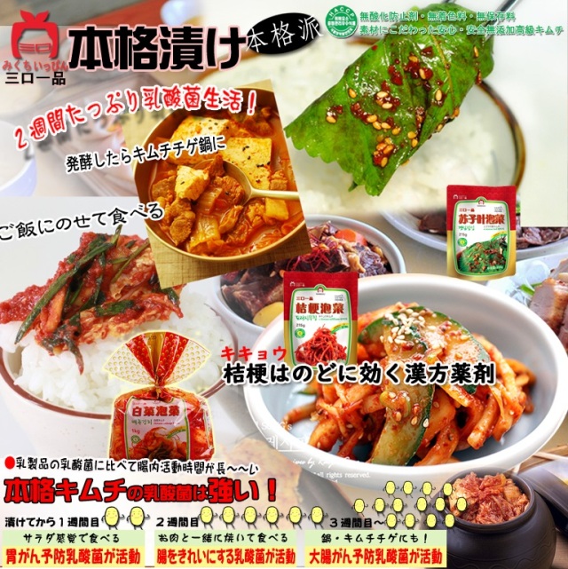 キムチ 韓国本場の味
