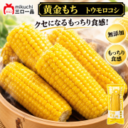 【特選】甜糯・黄金とうもろこし　採れたてのフレッシュなおいしさもちっと広がる、こだわり食感のとうもろこし