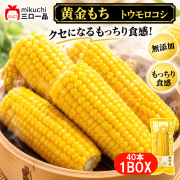 【特選】甜糯・黄金とうもろこし1BOX(40個)  採れたてのフレッシュなおいしさもちっと広がる、こだわり食感のとうもろこし