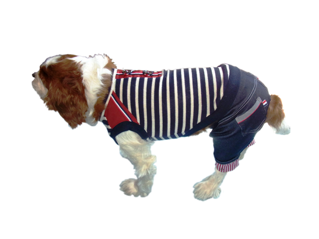 カジュアルボーダーTシャツ