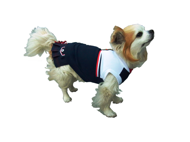 スポーティーTシャツ