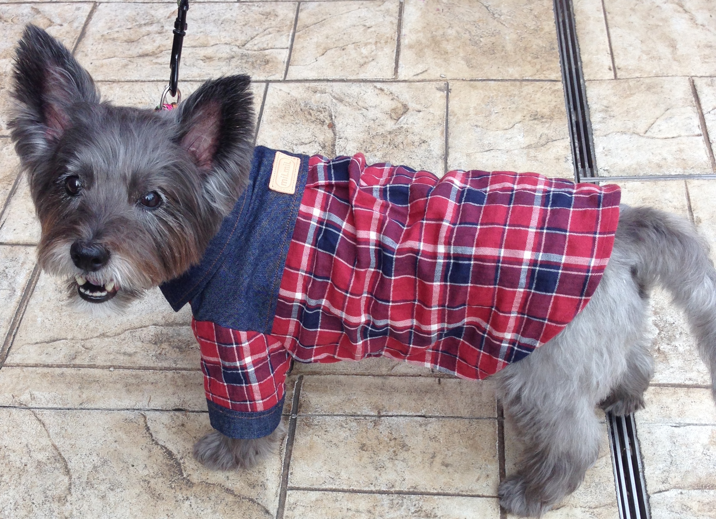 デニムチェックシャツ