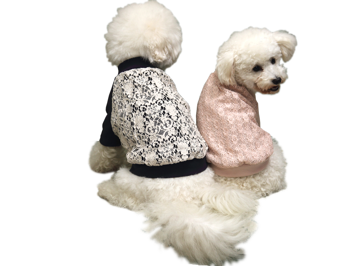 花柄レースラグラン切替Tシャツ