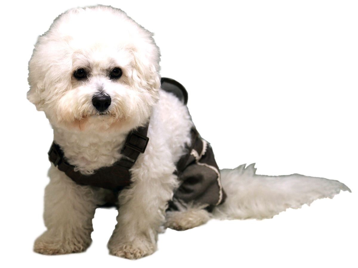 本革クロス付カーキーサロペットパンツ