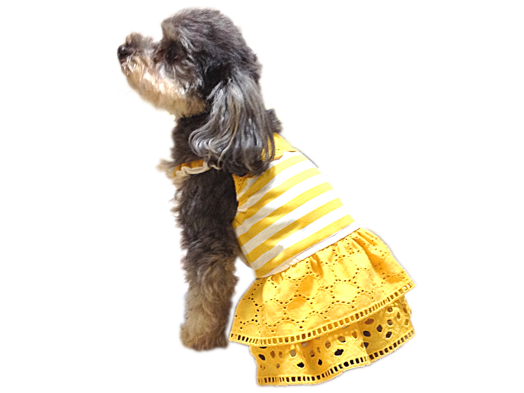 黄色レーススカートカジュアルワンピース