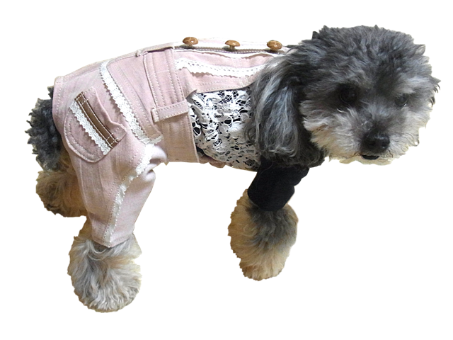 レース付サロペットパンツ