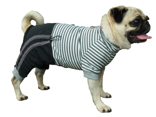 オールインワン　ボーダー