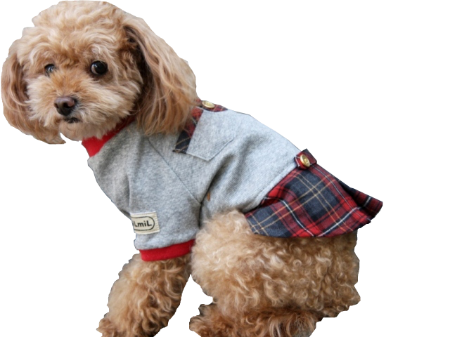 ボックスプリーツワンピース