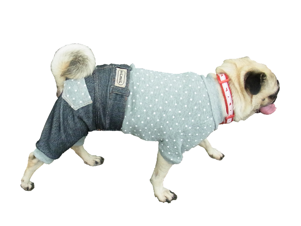 オールインワン　ドット