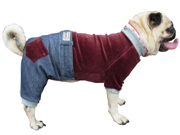 オールインワン　ベロア