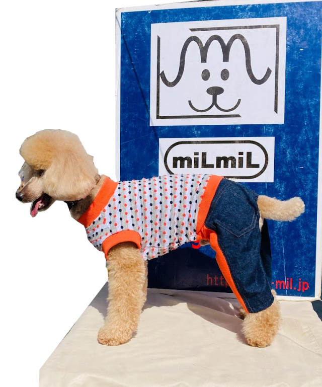 ドットジャガード,デニムリブ切り替えパンツオールインワン