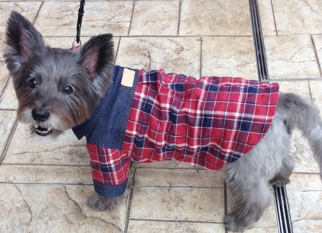 デニムチェックシャツ