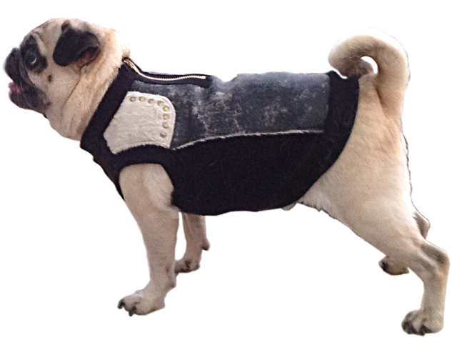 ワイルドベスト