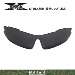 G-Cross TYPE -STRIX-専用　偏光レンズ