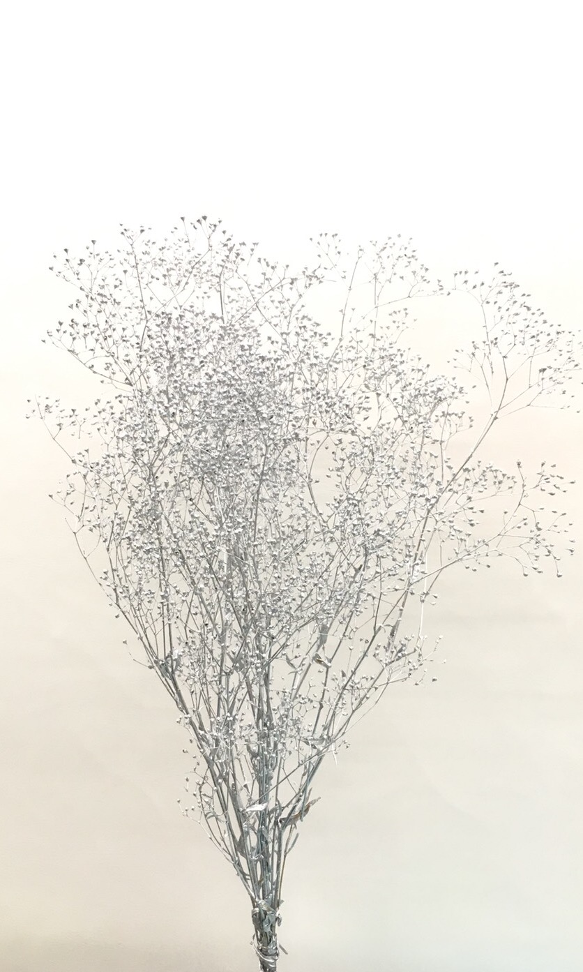 スーパーソフトミニカスミ草　シルバー　00020-912