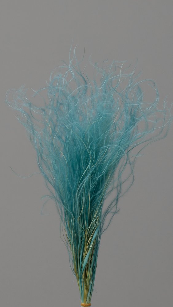 フェザーグラス　ターコイズブルー　01470-631