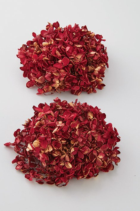 ピラミッドアジサイ・ヘッド　ワインレッドゴールド　01510-349　