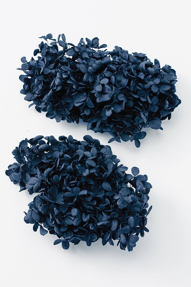 ピラミッドアジサイ・ヘッド　黒　01510-890