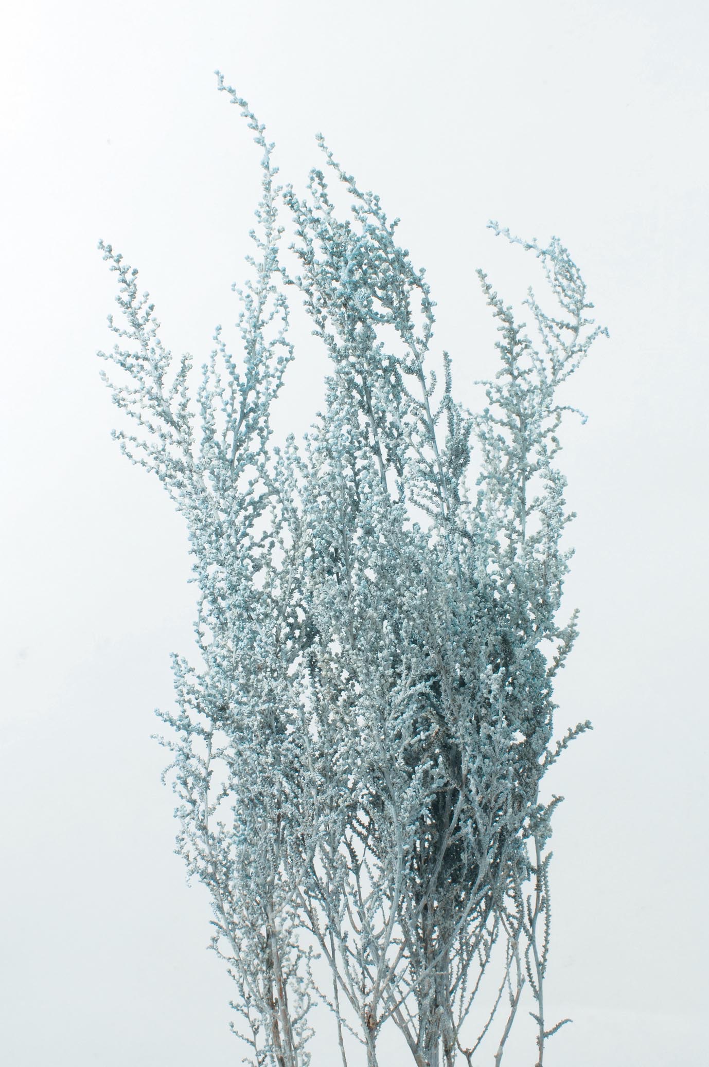 ストーベ　(ペイント)　　ウォッシュラベンダー　01760-412