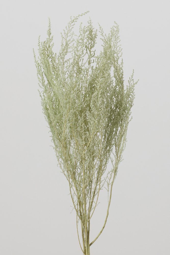 ストーベ　アイスグリ－ン　01760-771