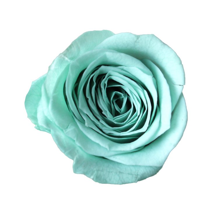 ビビアン　ミントブルー　02370-622