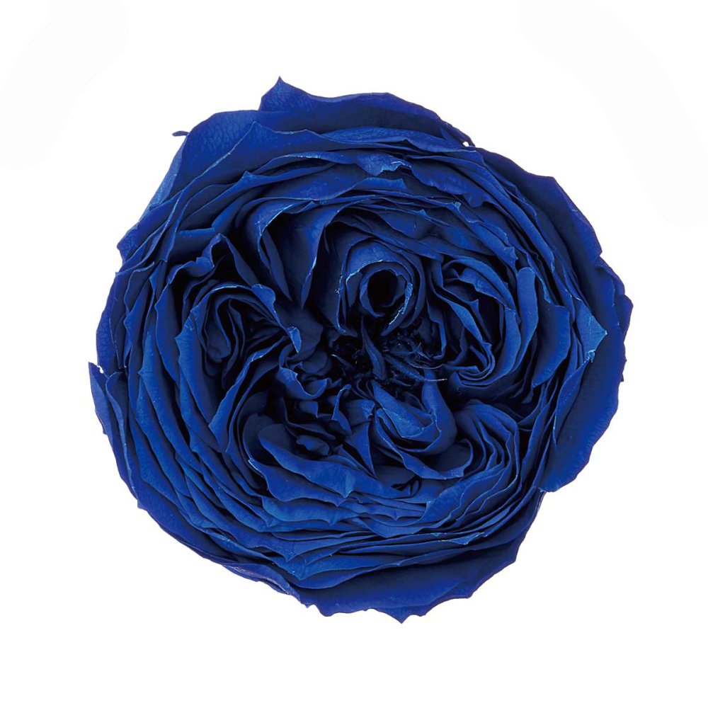 ローズ・てまり　インディゴブルー　02460-661