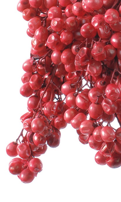 ペッパーベリー・プリザーブド　レッド　03380-300