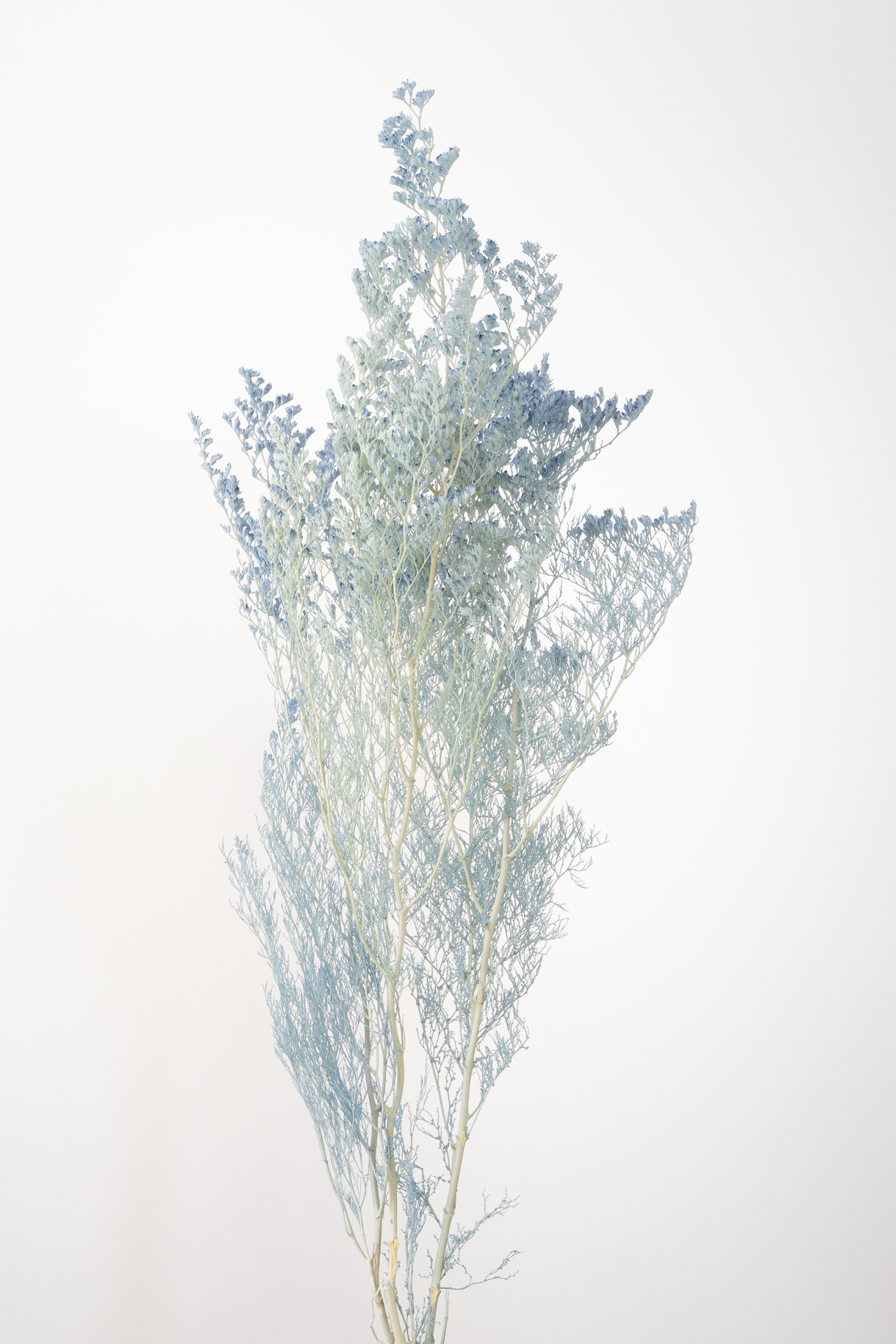 カスピア　ウォーターブルー　03710-691