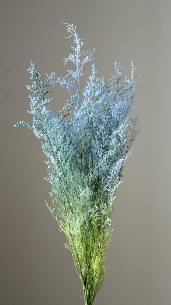 カスピア　プリザーブド　ブルー/グリーン　03715-670