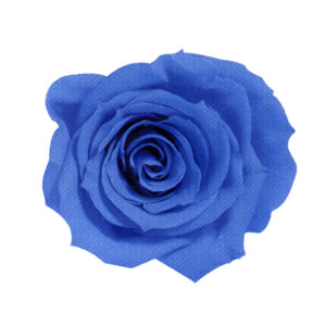 ローズ・ミミ　　ソーダブルー　03840-651