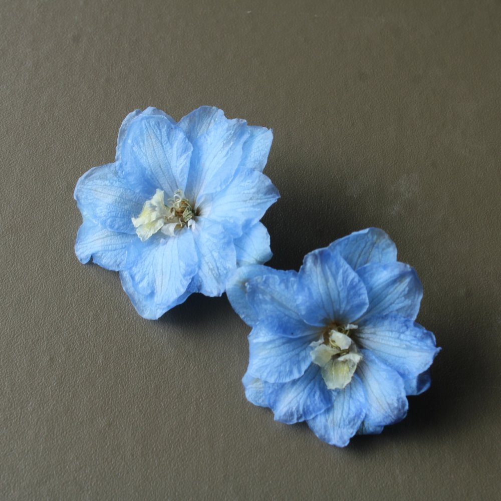 早い者勝ち⭐️プリザーブドフラワー 贈り物に最適 埃や湿気から守る 文字入りフラワーボックス華やかリース