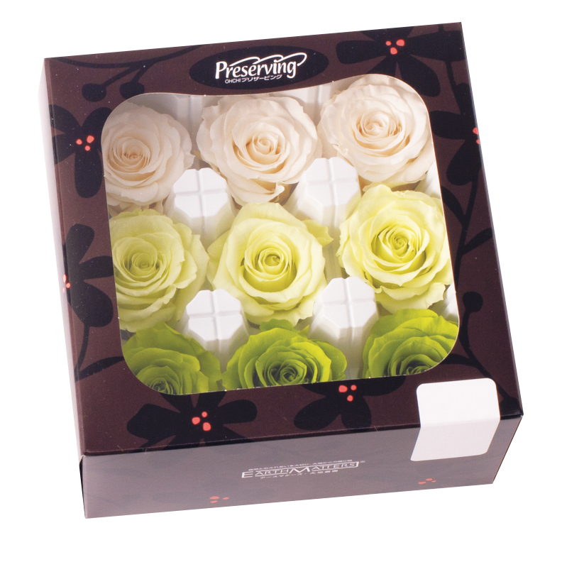 ローズ・かのん・M・カラーアソート　グリーンミックス　05207-770-1　特別割引60％OFF