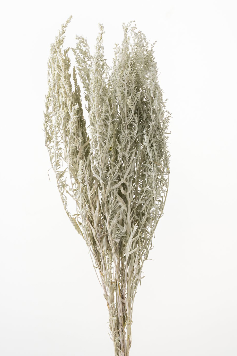 アルテミシア　N　10260-000　※メーカー廃盤セール60％ＯＦＦ