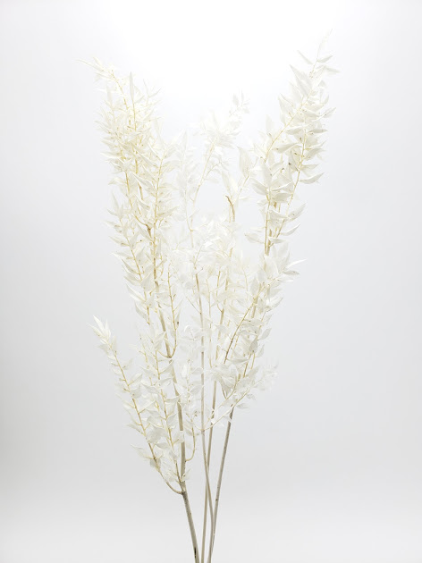 ラスカス　サラシ