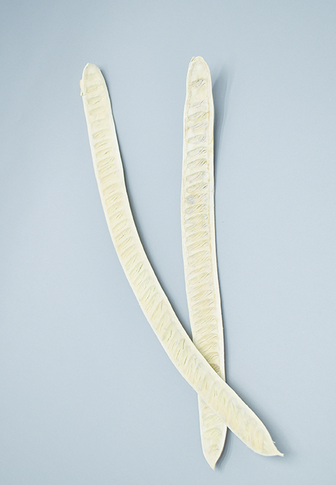 ステップフルーツ　サラシ　10345