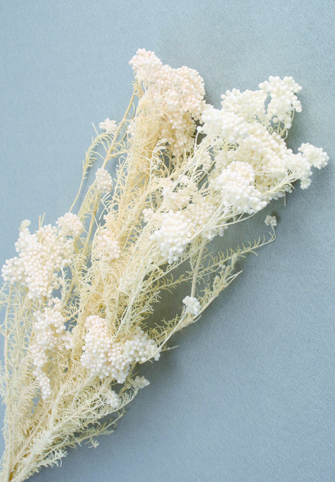 ライスフラワー　サラシ　10363